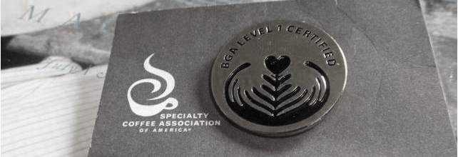 SCAA BGA Level 1 Pin